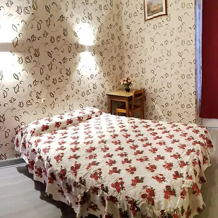 Saint Francois Xavier Hotel Lourdes